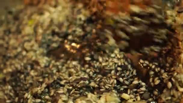 Omrörning av sojasås med lök och ris i en kastrull — Stockvideo