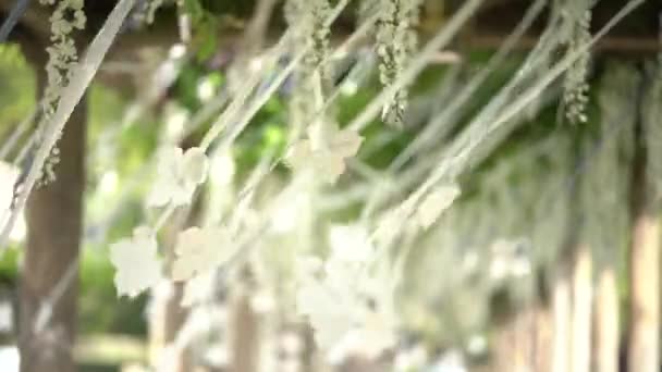 Wisteria albă cu frunze decorative se mișcă în vânt, atârnând de grinzile de terasă — Videoclip de stoc