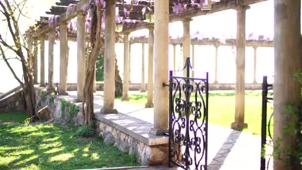 Säulenterrasse mit Laternen und lila Glyzinien darauf — Stockvideo
