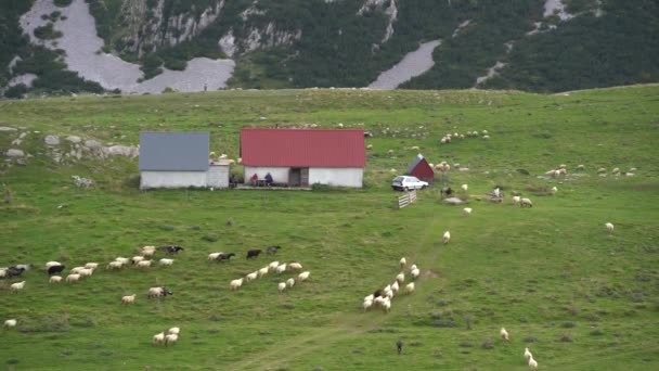Пастухи сидят рядом с фермой и смотрят на овец, идущих в долине — стоковое видео