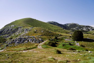 Yol yeşilliklerle kaplı kayalık dağların arasından geçiyor.