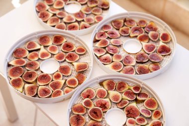 Balkon masasındaki beyaz dehidratör tabaklarında meyve kurutma işlemi