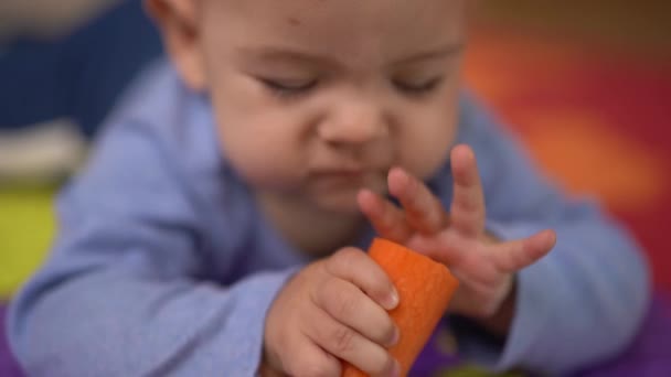 Bebê rói uma grande cenoura laranja — Vídeo de Stock