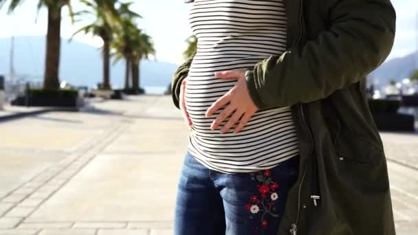 Chica acariciando una barriga embarazada con sus manos mientras está de pie en la orilla del mar — Vídeo de stock