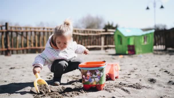 Menina cava areia com uma pá e derrama-lo em um balde de brinquedo — Vídeo de Stock