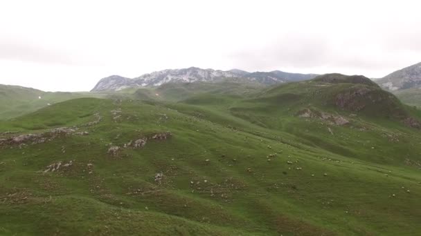 Pohled na hory na severu Černé Hory. Národní park Durmitor — Stock video