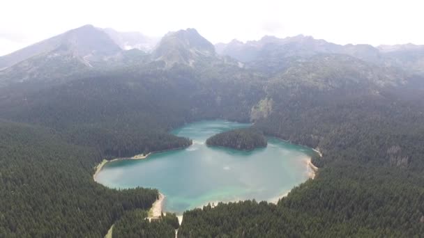 Vue aérienne du lac Black dans une forêt du parc national Durmitor — Video