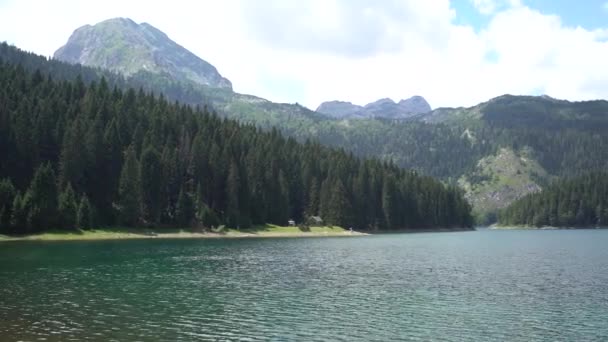 Dağlar ve ormanlarla çevrili Kara Göl Panoraması. Kuzey, Durmitor Ulusal Parkı — Stok video