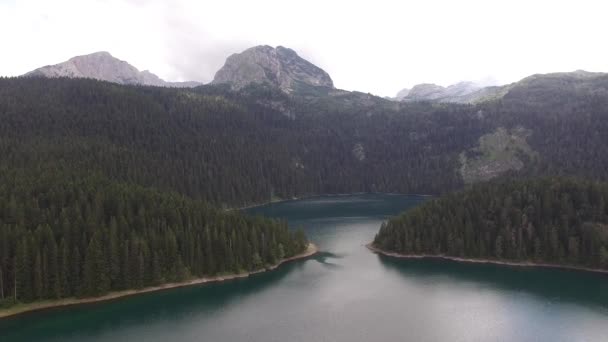 Black lake among the pine forest. Durmitor National Park, Montenegro — Stock Video