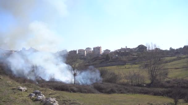 La fumée des feux de forêt dans les montagnes monte aux bâtiments de la ville — Video