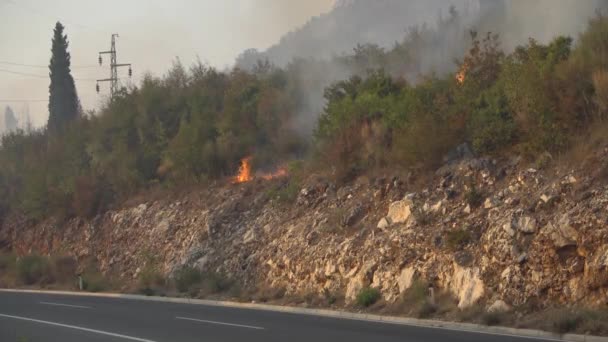 Gebüsch an einer Bergstraße in Flammen — Stockvideo