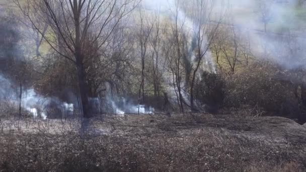 Fumée provenant d'arbres et de buissons brûlés dans les montagnes du Monténégro — Video