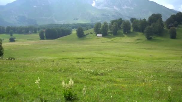 Haus umgeben von Bäumen am Fuße der Berge in einem grünen Tal — Stockvideo
