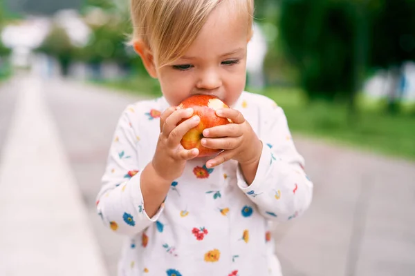El bebé se come una manzana roja en el parque. Retrato — Foto de Stock