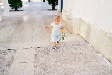 Elinde havuçla küçük bir kız kaldırımlı bir sokakta bir binanın önünden geçiyor.
