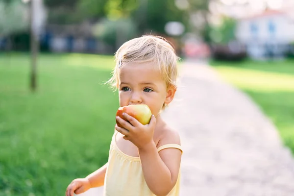 Menina rói uma maçã enquanto está em pé em um caminho em um parque verde — Fotografia de Stock