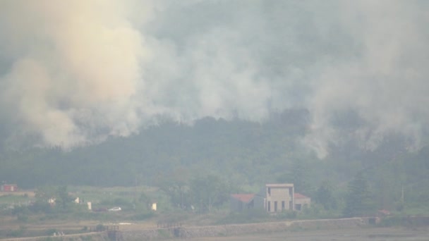 Fumo espesso sobe sobre a floresta nas montanhas durante os incêndios — Vídeo de Stock