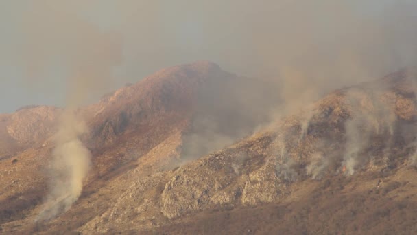 Выжженные дымящиеся леса в горах Черногории — стоковое видео