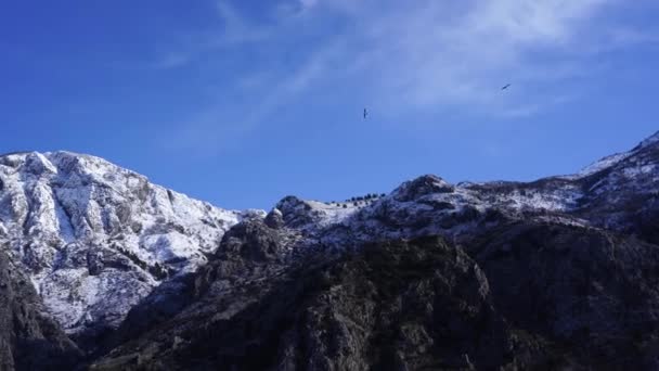 Vogels vliegen over de besneeuwde bergen in Montenegro — Stockvideo