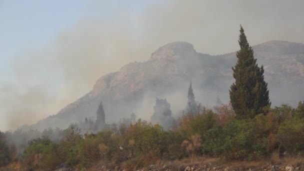 Lesní požáry s otevřeným spalováním v horách Černé Hory — Stock video