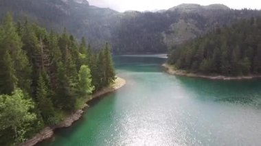 Kara Göl 'ün kumlu kıyısındaki ormanın kenarında. Durmitor Ulusal Parkı