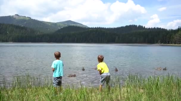 Два мальчика бросают еду уткам на Чёрное озеро. Дурмитор — стоковое видео