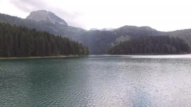 Воды Черного озера окружены сосновыми лесами. Черногория — стоковое видео