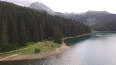 Kara Göl kıyısındaki bir çam ormanında insanlar çardağın yanında yürür.