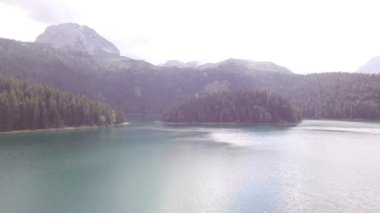 Kara Göl kıyısındaki çam ormanı manzarası. Crno Jezero