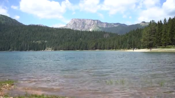 Waves hit the shore of Black Lake in Durmitor National Park — Stock Video