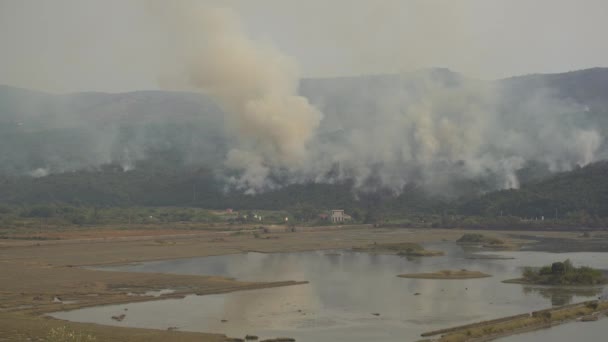 Sévère incendie de forêt dans les montagnes du Monténégro — Video