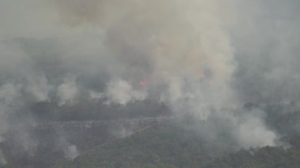 Drone widok silnego pożaru lasu w górach Czarnogóry — Wideo stockowe