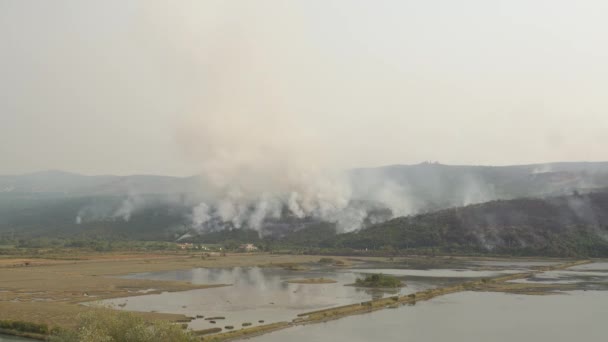 몬테네그로 산악 지역에서 발생 한 풍력의 산불 — 비디오