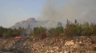 Dağ yolunda yanan çalılardan duman çıkıyor.