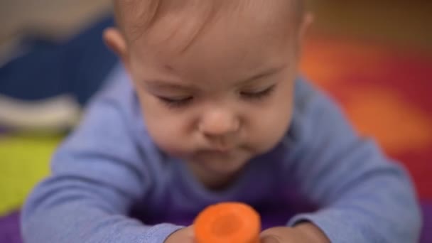 Baby gnager en morot medan han håller den med händerna — Stockvideo