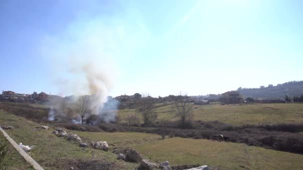 Rauch von Waldbränden in den Bergen steigt aus dem Gebüsch auf — Stockvideo