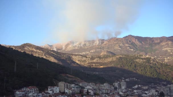 在蓝天的背景下，黑山山区森林大火所产生的烟雾 — 图库视频影像