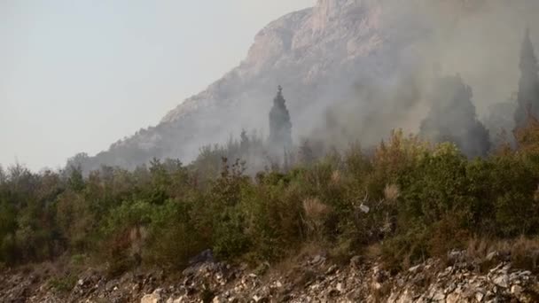 Offenes Feuer mit Rauch im Gebüsch und Bäumen in den Bergen — Stockvideo
