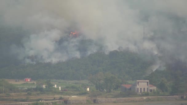Bosbranden in de bergen van Montenegro blussen — Stockvideo