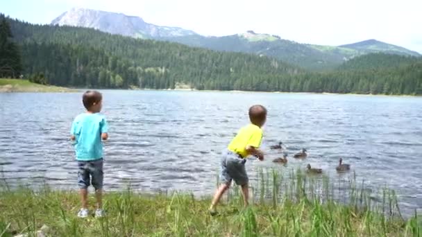 Deux garçons jettent de la nourriture aux canards sur le lac Noir. Monténégro — Video