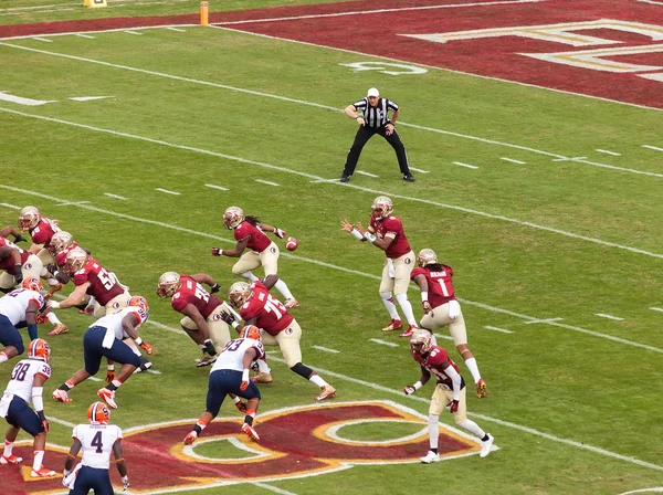 FSU Seminole fotbal — Stock fotografie