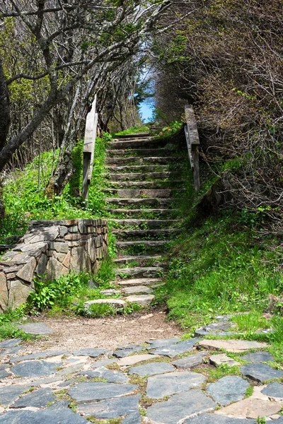 Sendero de montaña — Foto de Stock