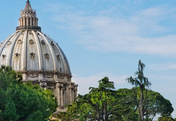 罗马教皇的大教堂的圆顶 — 图库照片