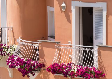 Çiçekli bitkiler Positano Villa