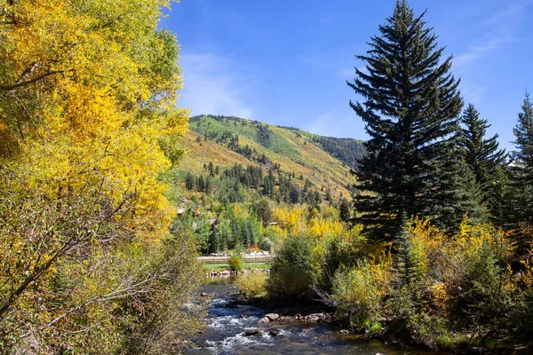 Altın Aspen Ağaçları Sonbahar Mevsiminde Colorado Dağlarında — Stok fotoğraf