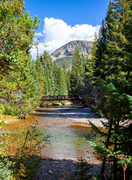 Bro Över Rinnande Bäck Vildmarken Colorado — Stockfoto