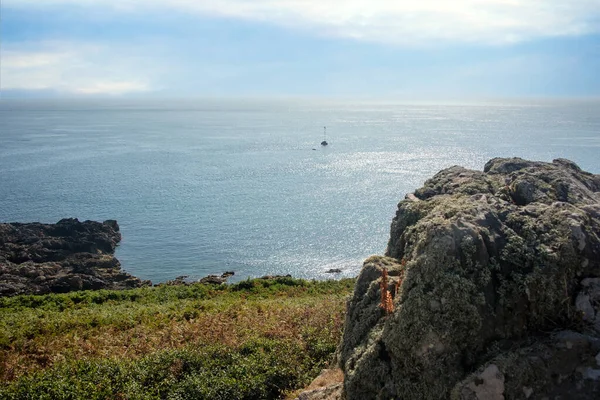 Guernsey Kıyı Şeridi Kırsal Kesimi Manş Denizi Nde Bir Kanal — Stok fotoğraf