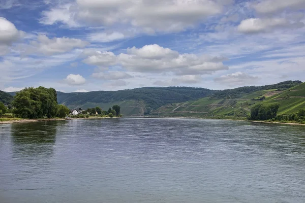 Scenic Landscape Rhine River Small Villages Grape Vineyards Run Its — Stock Photo, Image