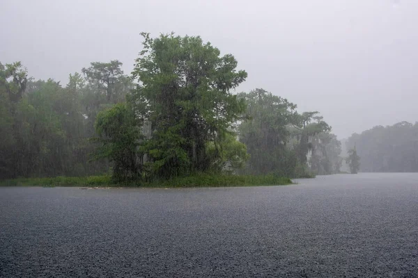 雨はフロリダ北部のワクラ川に降る — ストック写真