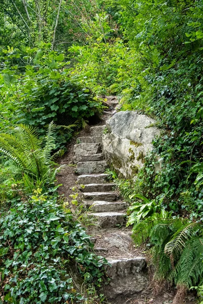 Escalera Piedra Sinuosa Con Rico Paisaje Verde Exuberante — Foto de Stock